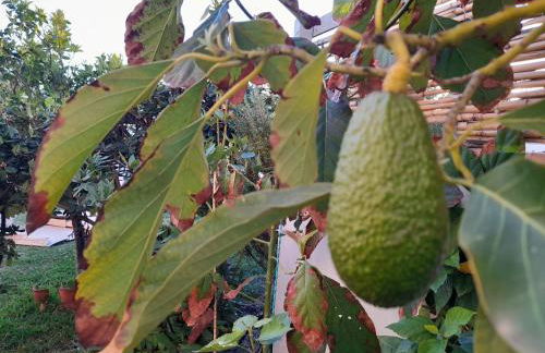 Apartamento cerca del mar - Foto 16