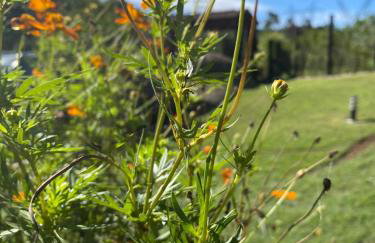 Casa In Collina - Foto 13