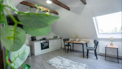 Livemore24 - Apartment 5 in Herten West 24-7 Check-in - Foto 2, stove