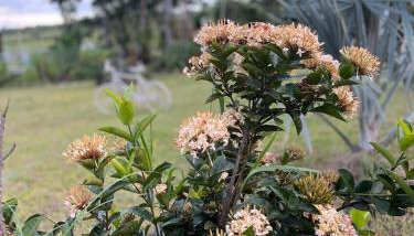 Sítio Veredas Formiga-MG - Foto 5