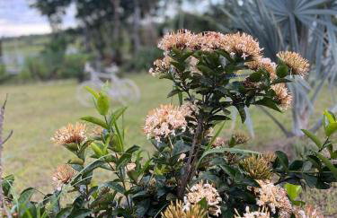 Sítio Veredas Formiga-MG - Foto 5