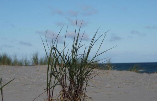 Ferienwohnung in 18107 Elmenhorst kurz vor Warnemünde - Foto 19