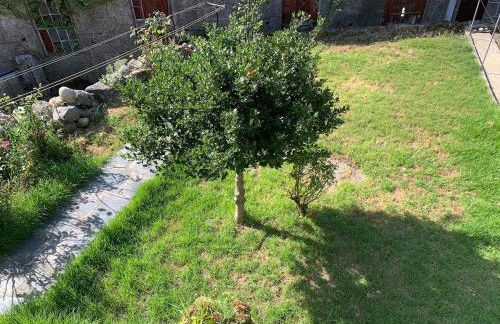 Casa da Laura - Um refúgio na Serra da Estrela - Foto 30