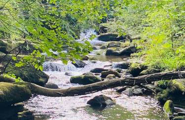 The Chaff House Country Cottage - Foto 8