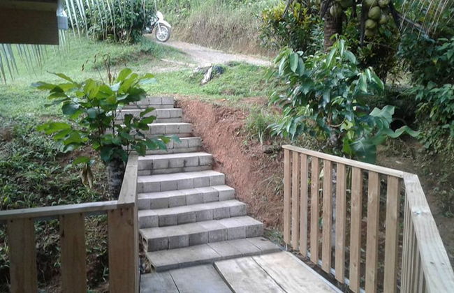 Drake Lapas - Foto 29