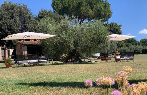 Tuscany Heritage Exclusive - La Ceppa - Foto 45
