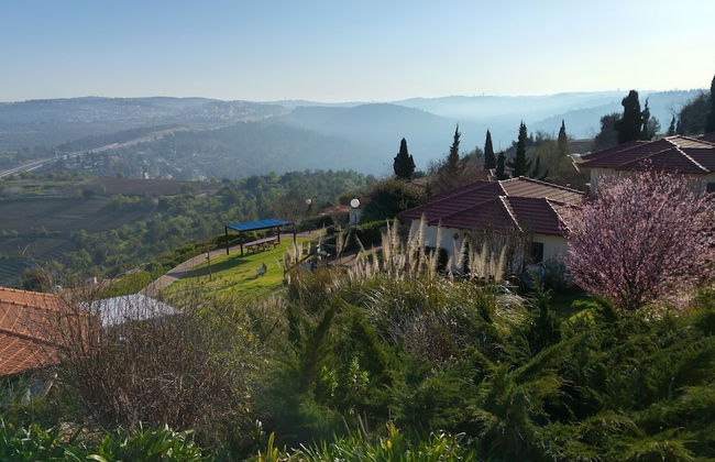 Shoresh Green Hills Family Suites Hotel - Foto 12