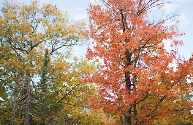 Mission Springs Resort - Photo 65