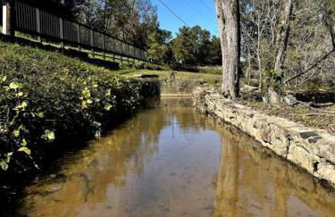 Meadows Mill House III - Foto 24