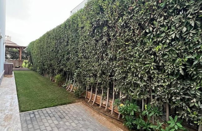 Villa In Beverly Hills With Garden - Photo 21