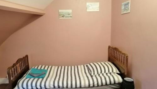 Les orchidées - Foto 5