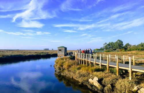 Passadiços da Ria - Foto 43