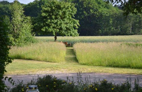 Apartment in Sehlen - Insel Rügen 3075 - Foto 30