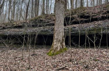 Turkey Creek Cabin Rentals #2 at Tims Ford lake - Foto 18