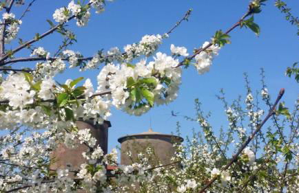 Exquisite Retreat in Segni - Foto 47