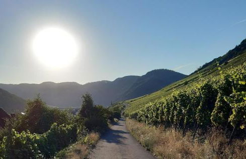 App 4 Pers 2 Schlafzimmer mit eigenen Badezimmer 2 Balkonen alle mit Moselblick - Foto 9