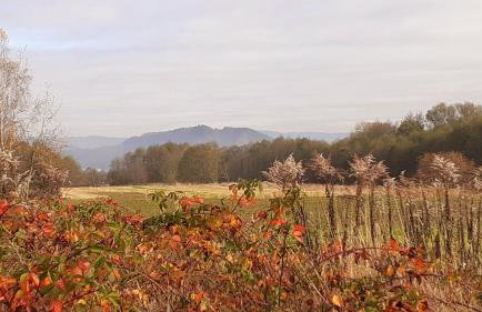 Na Słonecznej - Foto 26