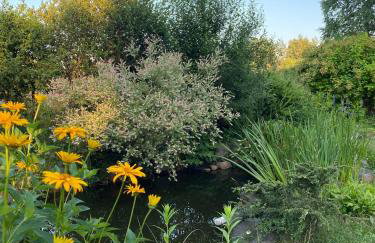 Biały Domek nad Wkrą - Foto 17