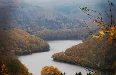 Ferienwohnung in Waldrandlage in Nationalpark Schleiden / Eifel - Foto 45