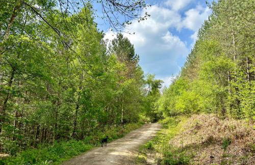 The Old Workshop, Wadhurst - Foto 7