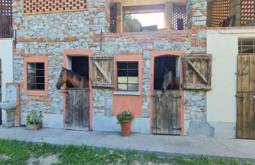 Timeless l' Antico Mulino Della Bozza - Happy Rentals - Foto 23