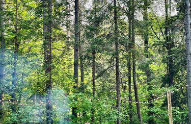 Stunning Catskills Cabin - Photo 67
