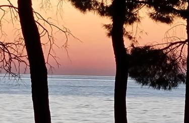 medium miramare appartamento sogno sul mare - Foto 10