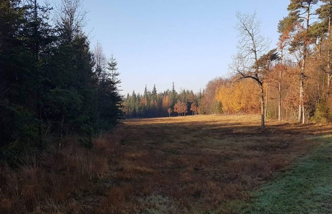 4 Person Holiday Home in Skaerbaek-by Traum - Photo 11