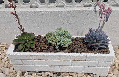 Studio Buganvilia - near riverside - Photo 11