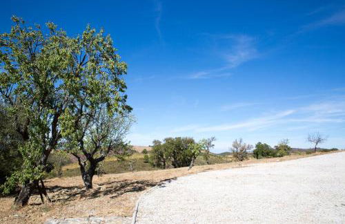 Desafios da Horta - Foto 11