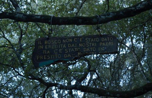 Nel verde del Villaggio - Casetta Celeste - Foto 40