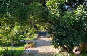 Chalé Txai um cantinho para relaxar - Foto 11