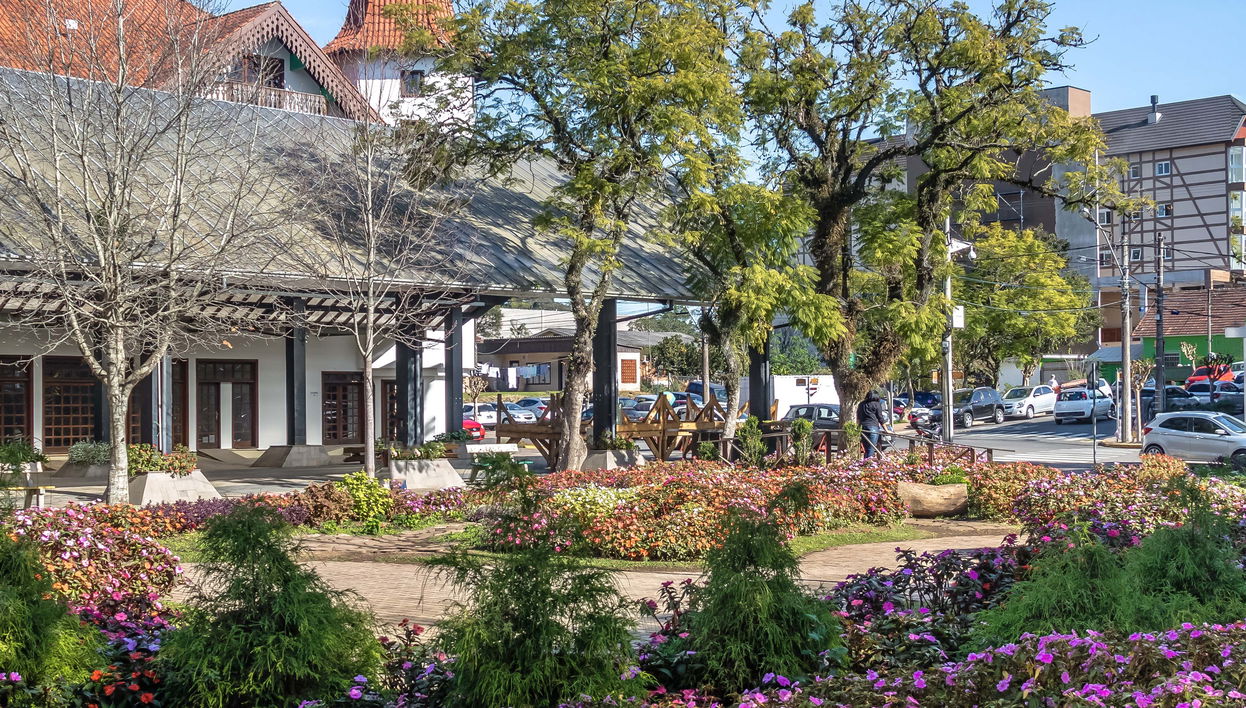 Day Trip to Nova Petrópolis - Foto 1