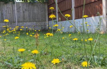 Headrose House - Foto 26