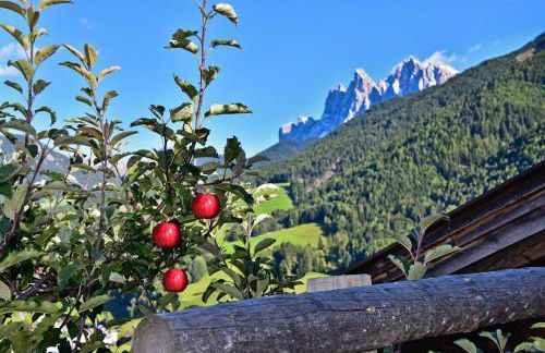 Jaiterhof - Photo 33