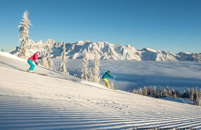 City Fischer Design Apartment - Foto 14