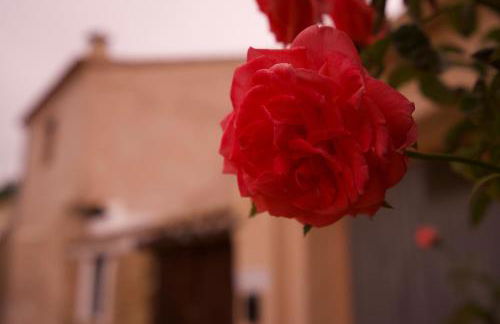 El Cau de Corcolilla (Villa Rural) - Foto 39