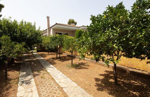 Apanemi Villa-Private Pool - Foto 53