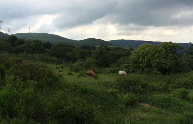 Splendid Holiday Home in Orciatico with Hot Tub & Pool - Foto 35