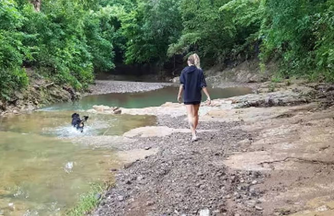 Forest House - Nature and Comfort for 3 People San Juan del Sur - Foto 6