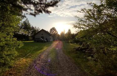 Kruszkanawierzbie - Foto 16