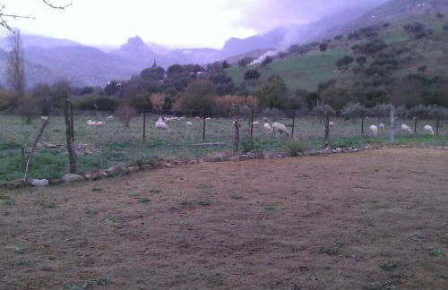 Cortijo, Grazalema, piscina, 5 Hbts con baño, AC, - Foto 43