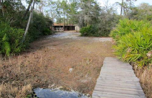 Rustic Vacation Rental with a Charming Dock in Ocala National Forest, Florida - Photo 27