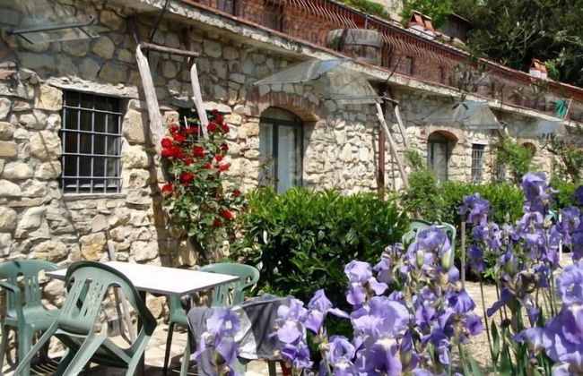 Agriturismo Fattoria di Castiglionchio - Foto 11