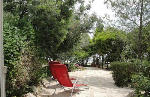 Apartments Grbin - Foto 56