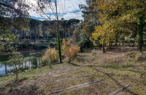 Can pauet - Photo 30