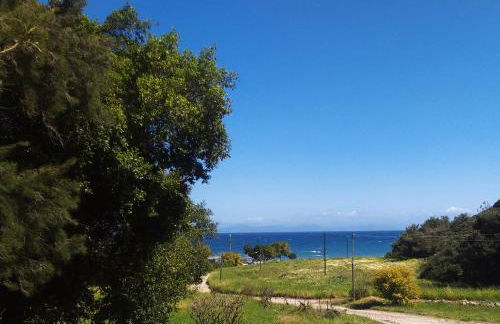 K Farm House - Foto 4