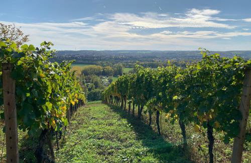 Brix Apartment - Foto 50