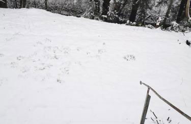 Ferienhaus Theodor EG - Foto 37