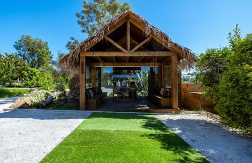 Vale Pisco - Photo 142